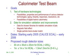 LC Cal Testbeam Discussion Slides(ppt)