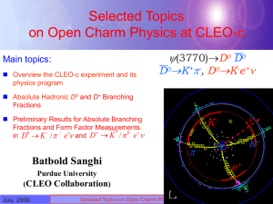 Selected topics on open charm physics at CLEO-c