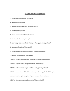 Study Guide for Chapter Nine and Ten.doc