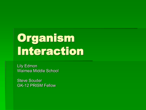 Organism Interaction Powerpoint