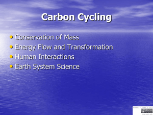 Carbon Cycling • Conservation of Mass Energy Flow and Transformation