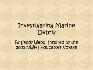 Lesson 6 powerpoint on marine debris