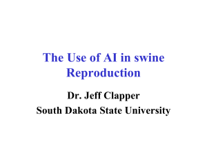 The Use of AI in Swine Reproduction (PowerPoint)