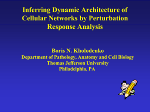 Inferring Dynamic Architecture of Cellular Networks by Perturbation Response Analysis
