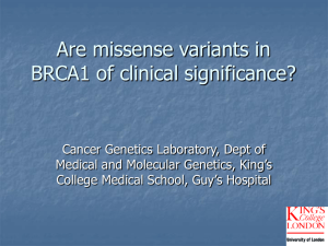 Are missense variants in BRCA1 of clinical significance?