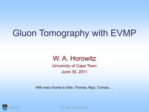 Gluon Tomography with EVMP