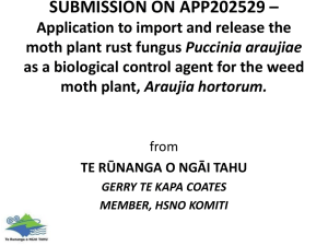 Te Runanga 0 Ngai Tahu Presentation at hearing (.pptx)
