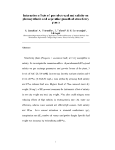 Interaction effects of  paclobutrazol and salinity on