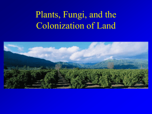 Plants, Fungi the Colonization of Land