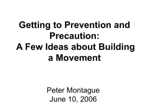 Getting to Prevention and Precaution: A Few Ideas about Building a Movement