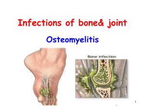 Bone and joint inflammatory lesion