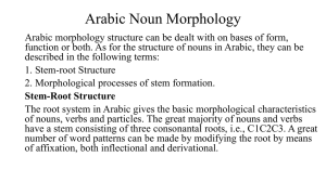 Arabic Noun Morphology