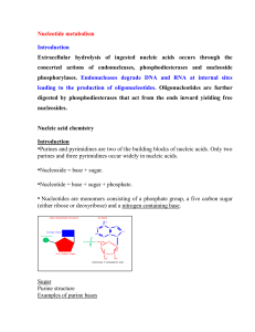 Nucleotide metabolism- level-4