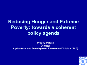 Reducing Hunger and Extreme Poverty: towards a coherent policy agenda Prabhu Pingali