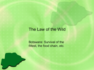 The Law of the Wild Botswans: Survival of the