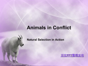 Animals in Conflict Natural Selection in Action