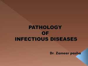 infection lecture