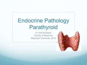 Parathyroid Gland Pathology
