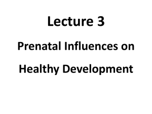 Lecture 3 Prenatal Influences on Healthy Development