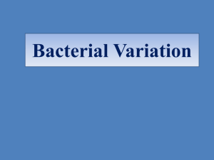 Bacterial Variation