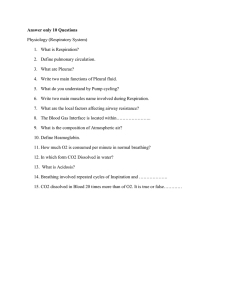 The assignment Qs