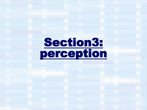 Section3: perception