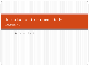 ANATOMY LECTURE 43. HUMN 110. INTRODUCTION TO HUMAN BODY.