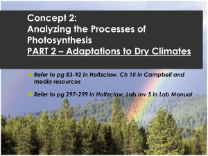 Concept 2: Analyzing the Processes of Photosynthesis