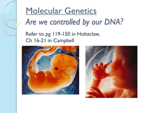 Molecular Genetics ? Are we controlled by our DNA