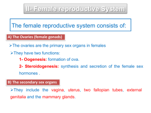 female reproductive physiology