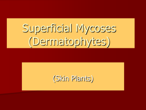 Superficial Mycoses (Dermatophytes) (Skin Plants)