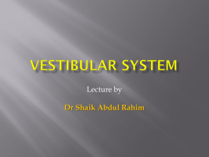 Lecture by Dr Shaik Abdul Rahim