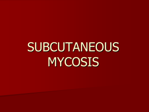 SUBCUTANEOUS MYCOSIS