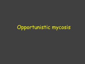 Opportunistic mycosis