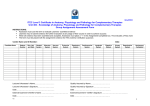 Group Assignment Assessment Form