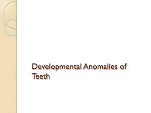 week 4 devlopment of teeth