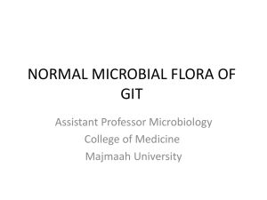 Normal Flora of GIT