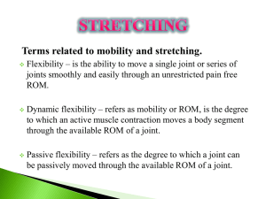 Terms related to mobility and stretching.