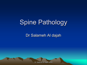 Spine Pathology Dr Salameh Al dajah Dr. Salameh Al Dajah  2014
