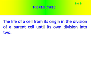 *** The life of a cell from its origin in the... of a parent cell until its own division into two.