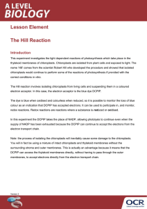 The Hill Reaction - Activity - Lesson element (DOCX, 263KB) Updated 07/03/2016