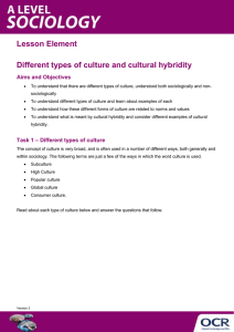 Different types of culture and cultural hybridity - Activity - Lesson element (DOCX, 174KB)