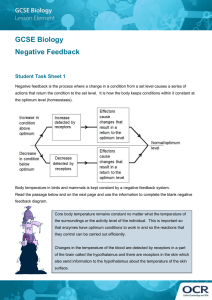 Negative feedback in biology activity (DOC, 1MB)