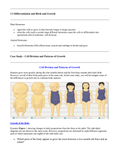 3.3 Differentiation, birth and growth activity