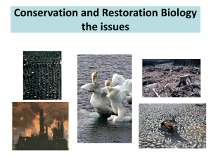 Conservation and Restoration