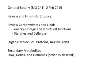 General Botany (BIO 241), 2 Feb 2015 Review Carbohydrates and Lipids