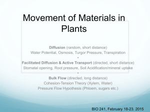 Movement of Materials in Plants