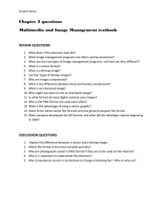 Chapter 2 questions Multimedia and Image Management textbook REVIEW QUESTIONS