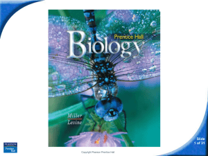Biology Slide 1 of 31 Copyright Pearson Prentice Hall