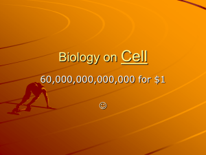 Biology on the Cell